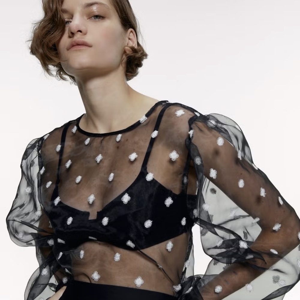 Zara Sheer Black Blouse with Black And White Embroidery Top Blouse